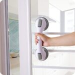 Wall Mounted Helping Hand for Bathroom Bath Tub