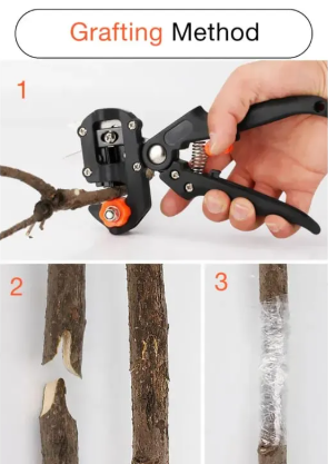 Garden Grafting Tool Kit with 3 Blades for Plant and Fruit Tree Pruning - Image 4
